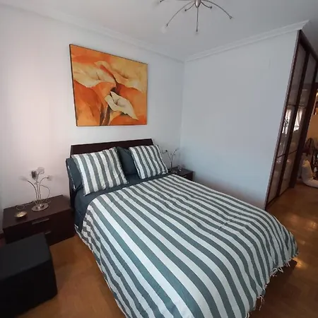 Coqueto Apartamento Perez De Ayala Gijón